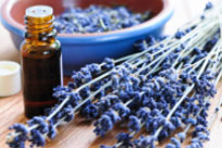 Find Local Aromatherapy