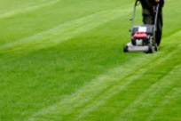 Find Cramlington Lawn Mowing